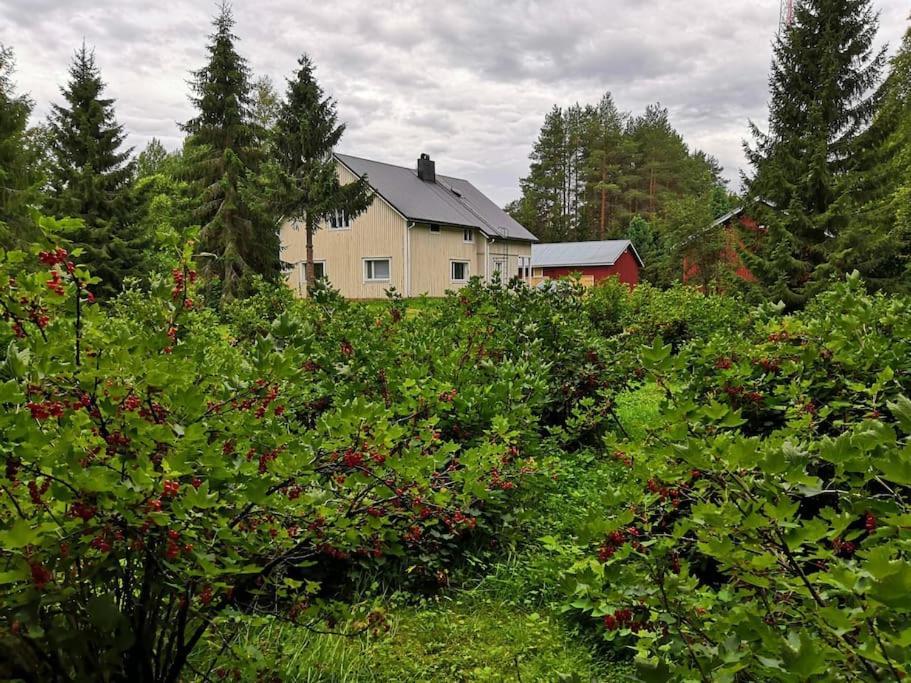 Mukava Mummonmoekki Maaseudun Rauhassa Villa Koivu Eksteriør billede
